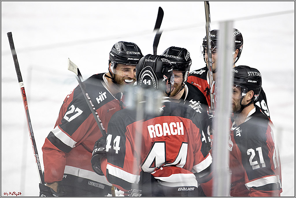 PENNY DEL;  Koelner Haie - Bietigheim Steelers; Koeln, 19.11.2021